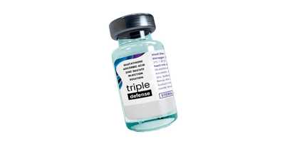 Triple Defense